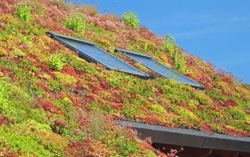 Drumclog living roof systems