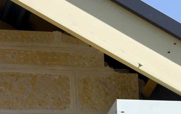 soffit repair Drumclog