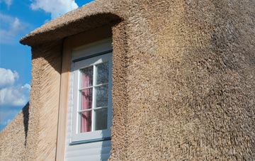 Drumclog thatch roof disadvantages