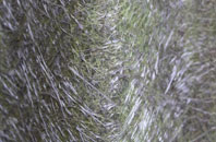 Drumclog fibreglass roof work